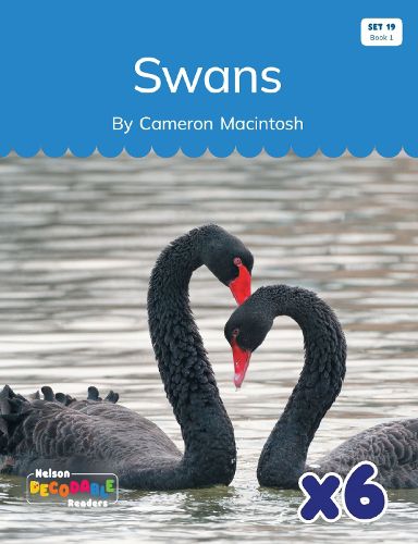 Cover image for Swans x 6 (Set 19, Book 1)