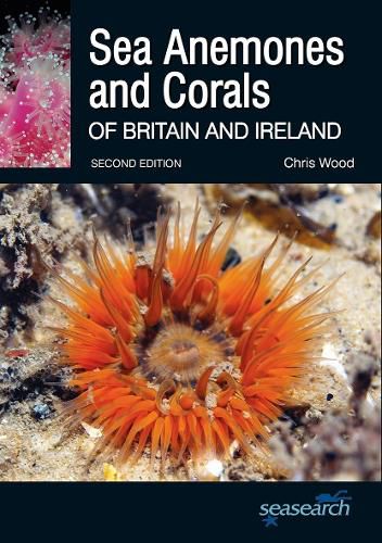 Cover image for Sea Anemones and Corals of Britain and Ireland