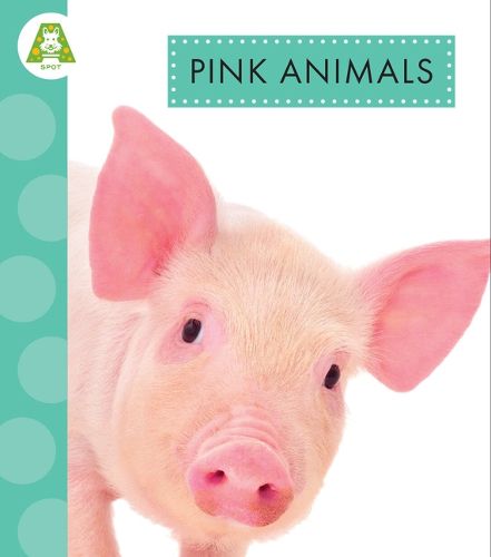 Cover image for Pink Animals