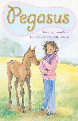 Cover image for Pegasus: Individual Student Edition Ruby (Levels 27-28)