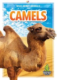 Cover image for Camels