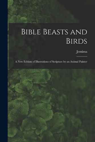 Cover image for Bible Beasts and Birds