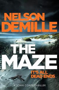 Cover image for The Maze