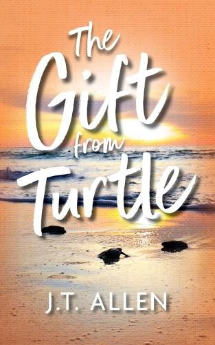 Cover image for The Gift from Turtle