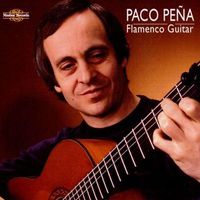 Cover image for Flamenco Guitar 2cd