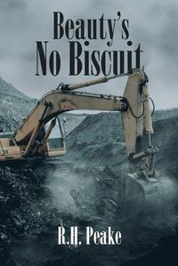 Cover image for Beauty's No Biscuit