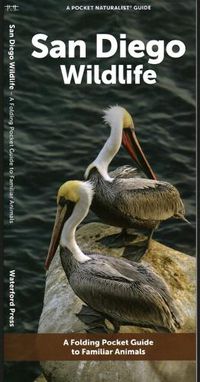 Cover image for San Diego Wildlife: A Folding Pocket Guide to Familiar Animals