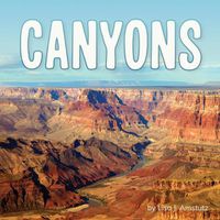 Cover image for Canyons