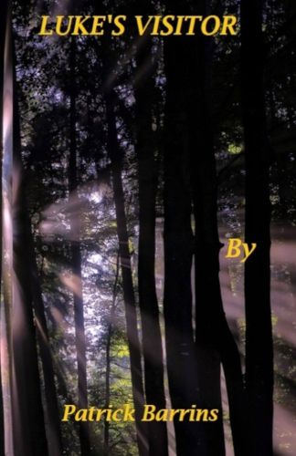 Cover image for Luke's Visitor