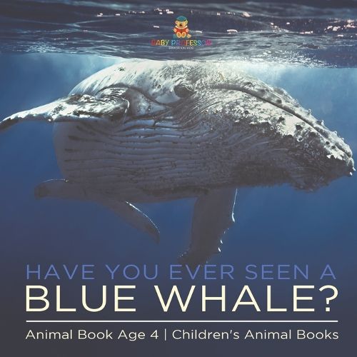 Cover image for Have You Ever Seen A Blue Whale? Animal Book Age 4 Children's Animal Books