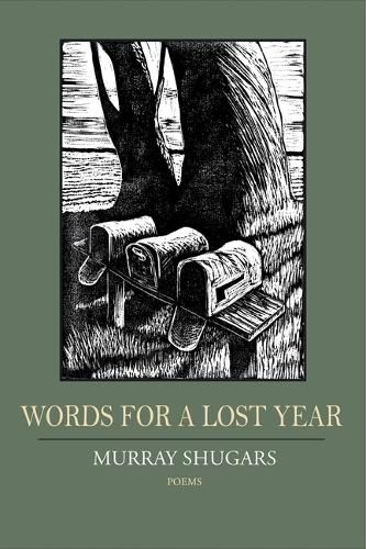 Cover image for Words for a Lost Year