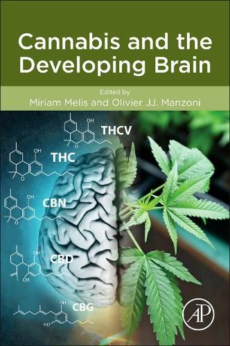 Cover image for Cannabis and the Developing Brain