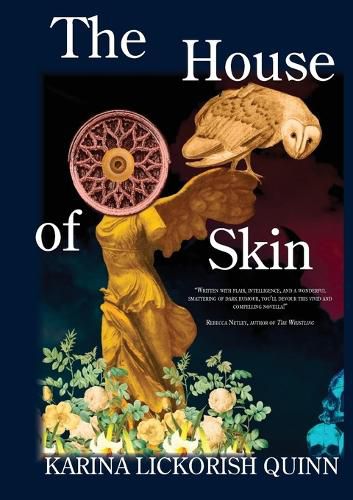 Cover image for The House of Skin