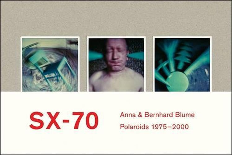 Cover image for Anna & Bernhard Blume: SX-70 Polaroids 1975 - 2000