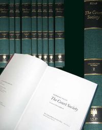 Cover image for The Court Society
