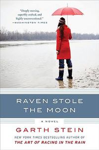 Cover image for Raven Stole the Moon