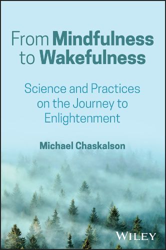 Cover image for From Mindfulness to Wakefulness