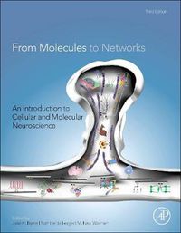 Cover image for From Molecules to Networks: An Introduction to Cellular and Molecular Neuroscience