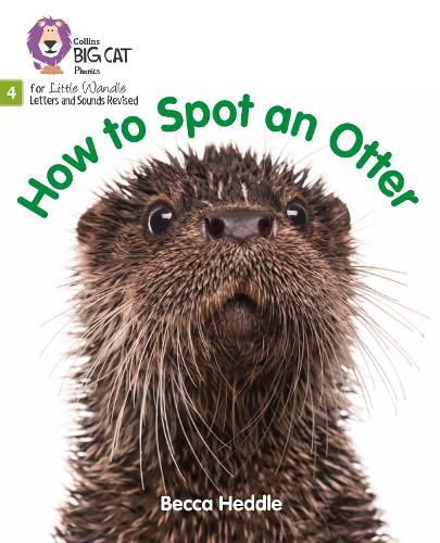 How to Spot an Otter: Phase 4 Set 2