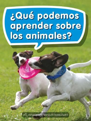 Cover image for Book 049: ?Que Podemos Aprender Sobre Los Animales?: Leveled Reader, on Level Grade 1