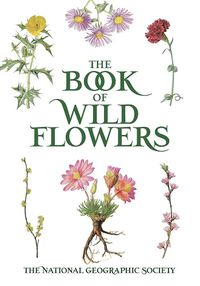Cover image for Book of Wild Flowers: Color Plates of 250 Wild Flowers and Grasses