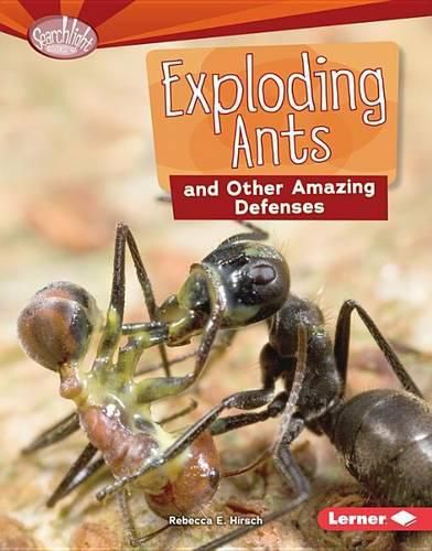 Exploding Ants And Other Amazing Defenses