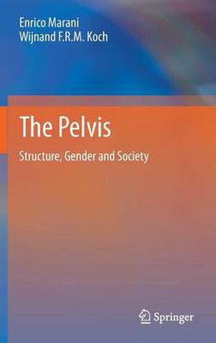 Cover image for The Pelvis: Structure, Gender and Society