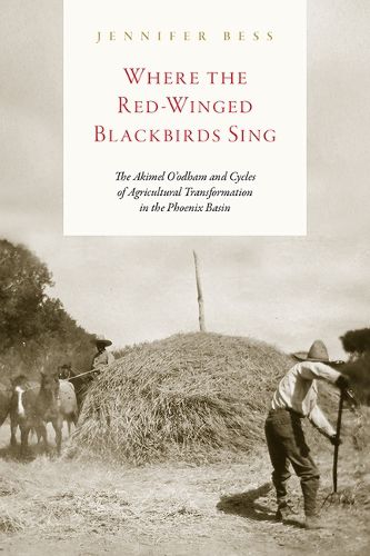 Cover image for Where the Red-Winged Blackbirds Sing: The Akimel O'Odham and Cycles of Agricultural Transformation in the Phoenix Basin