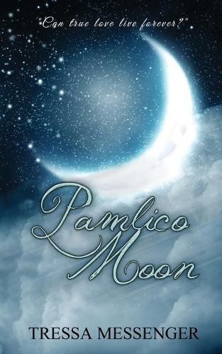 Cover image for Pamlico Moon