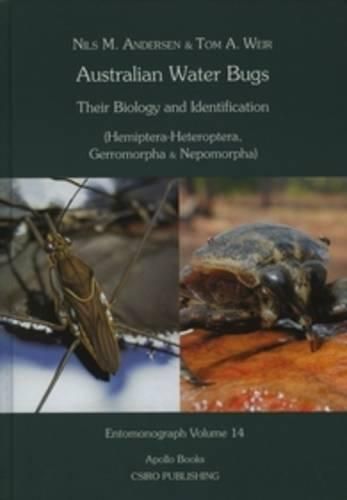 Cover image for Australian Water Bugs. (Hemiptera - Heteroptera, Gerromorpha & Nepomorpha): Their Biology and Identification