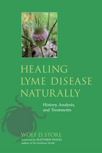 Healing Lyme Disease Naturally: History, Analysis, and Treatments