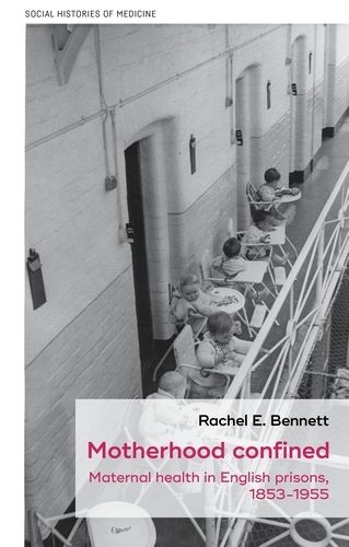 Cover image for Motherhood Confined