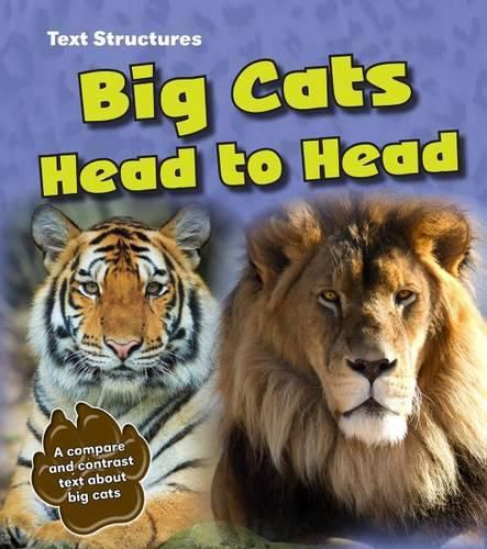 Cover image for Big Cats Head to Head: A Compare and Contrast Text