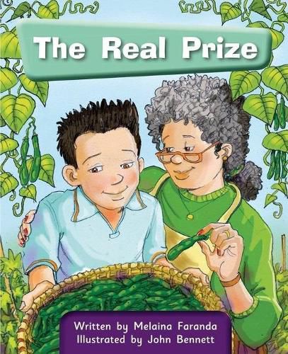 Cover image for The Real Prize