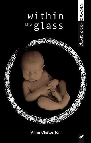 Cover image for Within the Glass