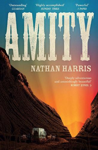Cover image for Amity