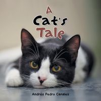 Cover image for A Cat's Tale