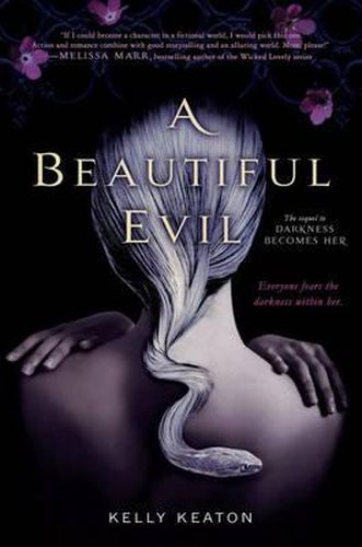 Cover image for A Beautiful Evil