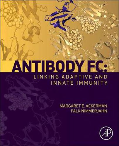 Cover image for Antibody Fc: Linking Adaptive and Innate Immunity