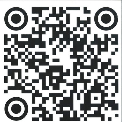 Cover image for You're Only Young Once But You Can Be Stupid Forever - Bogdan Raczynski (Vinyl)