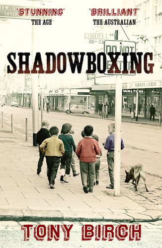 Cover image for Shadowboxing