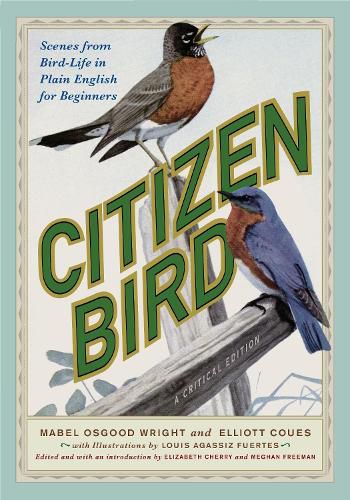 Cover image for Citizen Bird