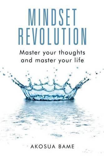 Cover image for Mindset Revolution