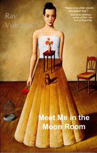 Cover image for Meet Me in the Moon Room: Stories