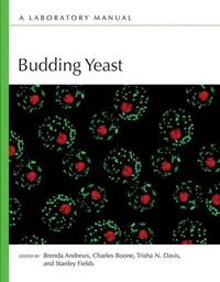 Cover image for Budding Yeast: A Laboratory Manual