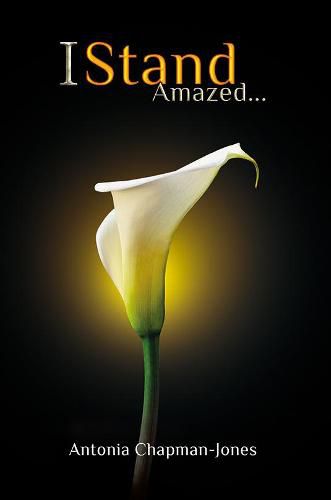 Cover image for I Stand Amazed...