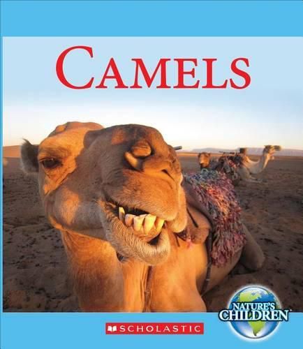 Cover image for Camels