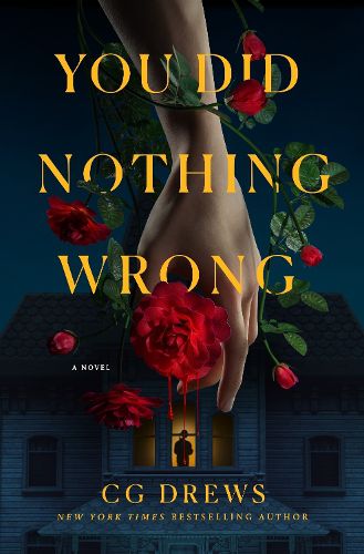 Cover image for You Did Nothing Wrong
