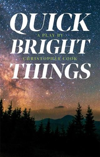 Cover image for Quick Bright Things