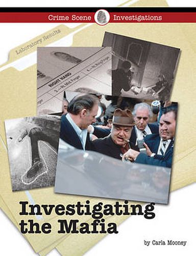 Cover image for Investigating the Mafia